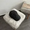 Gucci Casquette Noire