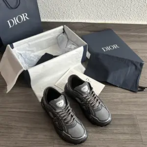 Dior B30 Gris Brillant