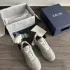 Dior B27 Gris