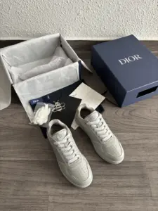 Dior B27 Gris