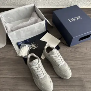 Dior B27 Gris