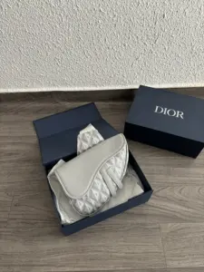Dior Saddle Gris