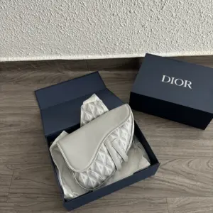 Dior Saddle Gris